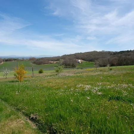 Mas Provencal Avec Piscine Cadre Exceptionnel פורקלקייה