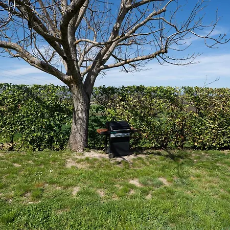 Mas Provencal Avec Piscine Cadre Exceptionnel